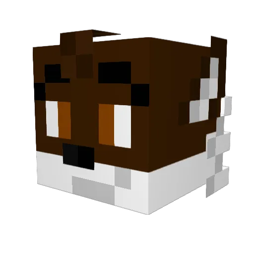 TeonotheFox Minecraft avatar head, 3D render