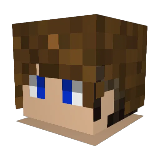 Teoodoor Minecraft avatar head, 3D render
