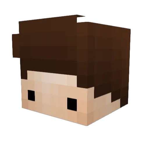 Teoor Minecraft avatar head, 3D render