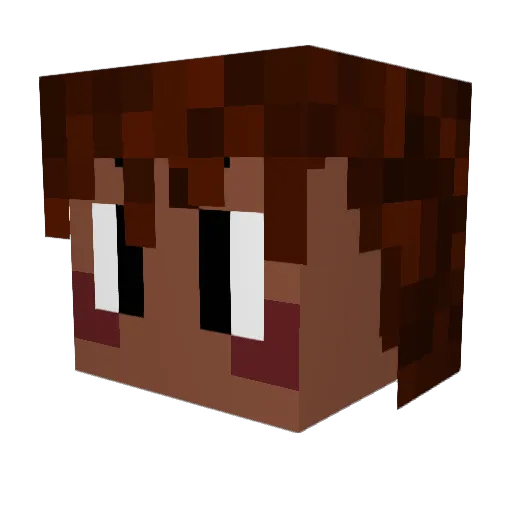 Teoshsnivy Minecraft avatar head, 3D render