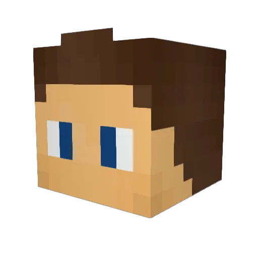 Teostroy Minecraft avatar head, 3D render