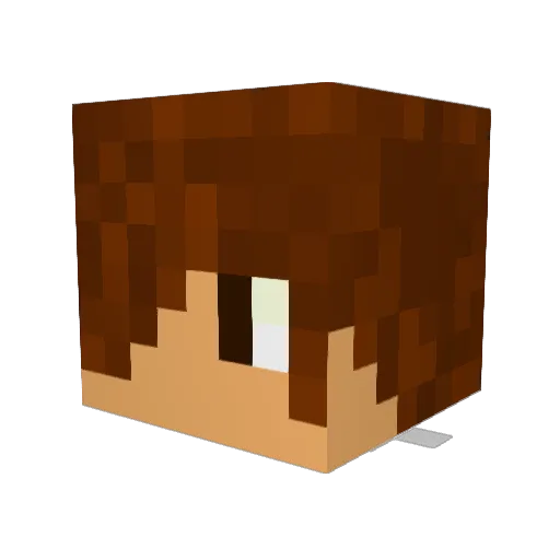 Teoxx_ Minecraft avatar head, 3D render