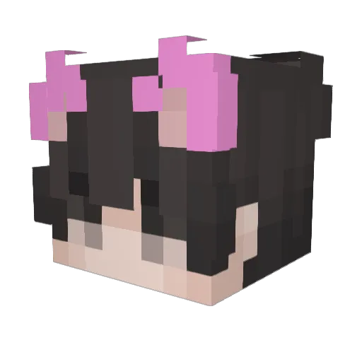 TepelVarken Minecraft avatar head, 3D render
