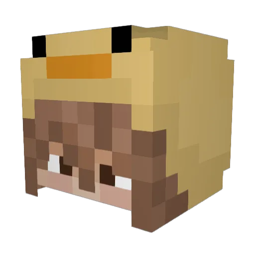 TepidMark Minecraft avatar head, 3D render
