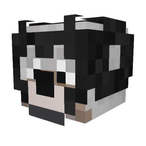 Tepill Minecraft avatar head, 3D render
