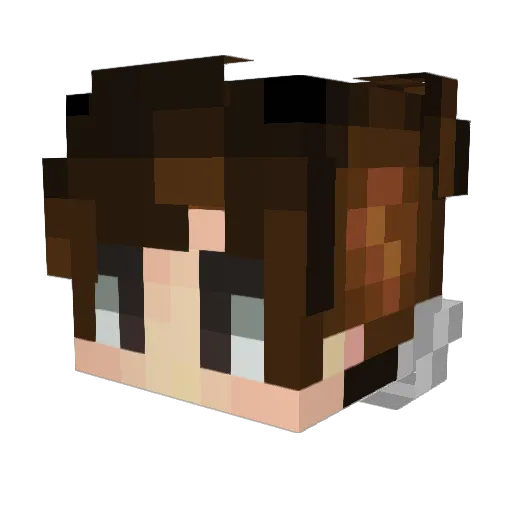 Tepina123 Minecraft avatar head, 3D render