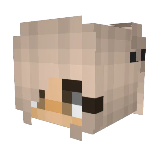 Tepsaz99 Minecraft avatar head, 3D render