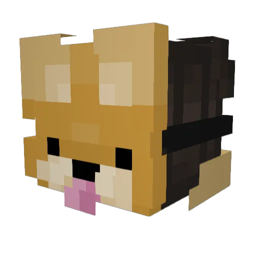 Teqilka Minecraft avatar head, 3D render