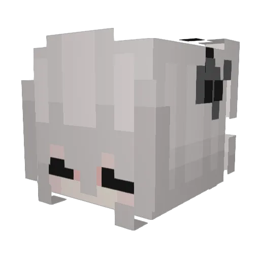 Tequilits Minecraft avatar head, 3D render