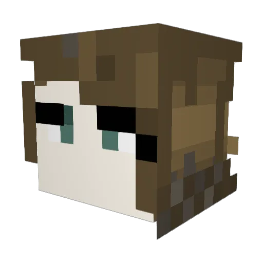 TerBoo1 Minecraft avatar head, 3D render