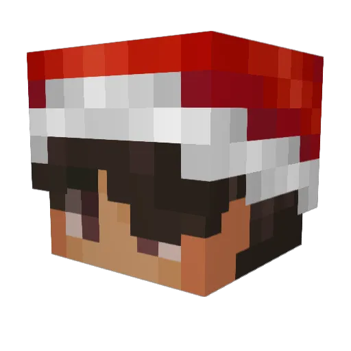 TerFick Minecraft avatar head, 3D render