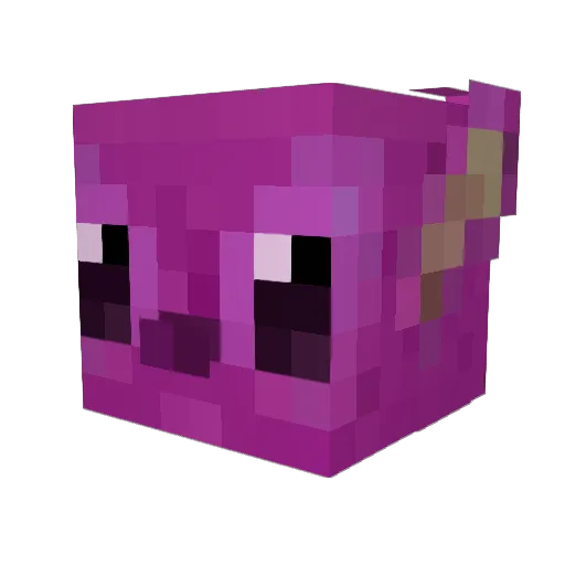 TerStegen Minecraft avatar head, 3D render