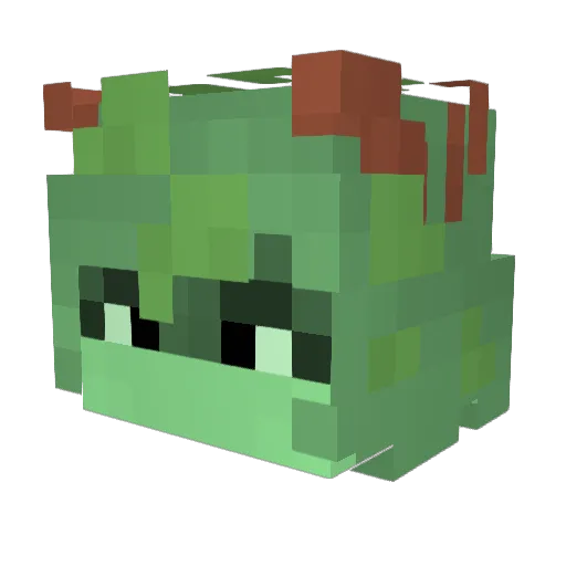 Ter_ion Minecraft avatar head, 3D render