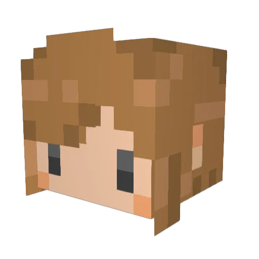 Tera223 Minecraft avatar head, 3D render