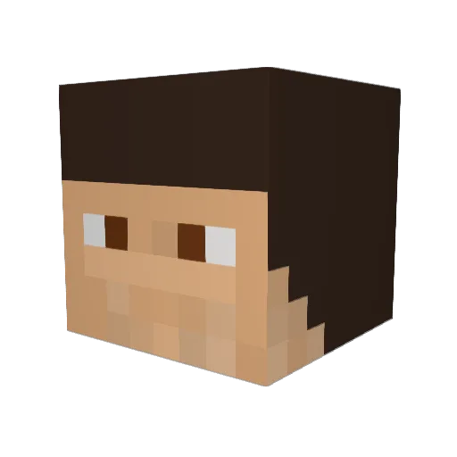 TeraDrive Minecraft avatar head, 3D render