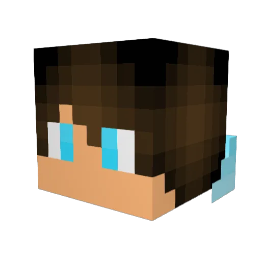 TeraFormer1 Minecraft avatar head, 3D render
