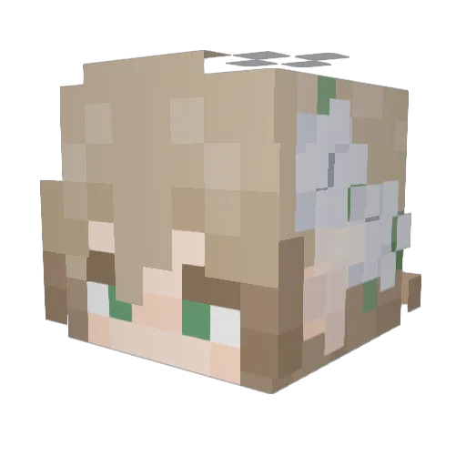Teraannum Minecraft avatar head, 3D render