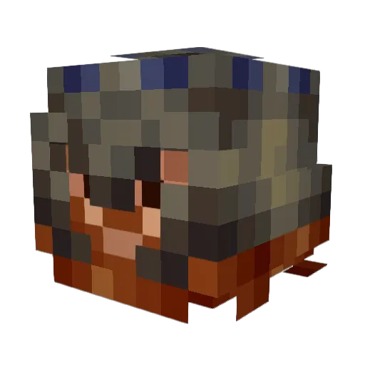 Terania Minecraft avatar head, 3D render
