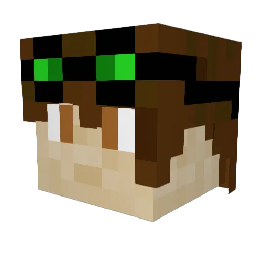 Terdburgler1 Minecraft avatar head, 3D render