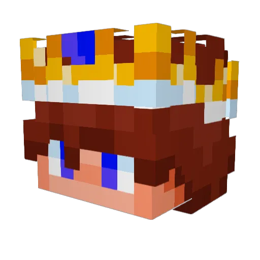 Terdish Minecraft avatar head, 3D render