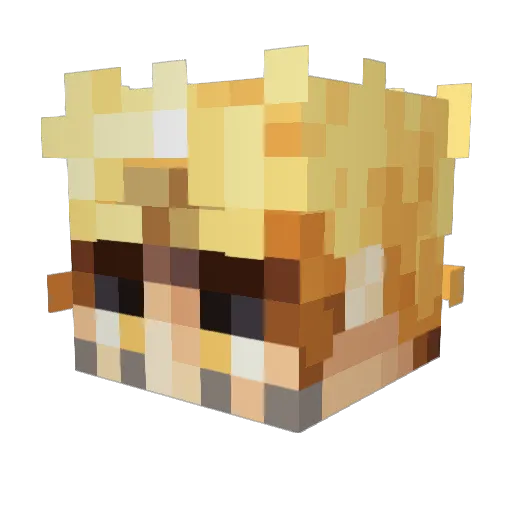 TerenceLeGrand Minecraft avatar head, 3D render