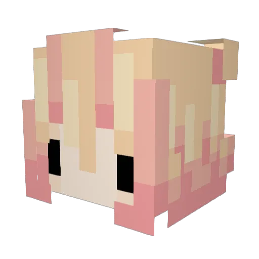 TerezCode Minecraft avatar head, 3D render