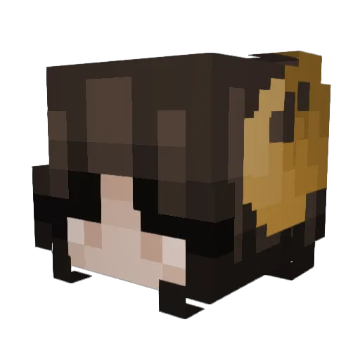 Terg__ Minecraft avatar head, 3D render