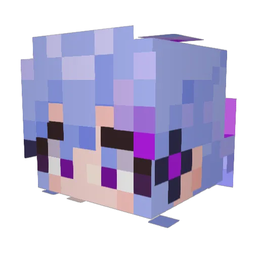 Teri_Berry_16 Minecraft avatar head, 3D render