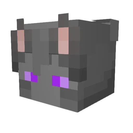 TericDragon Minecraft avatar head, 3D render