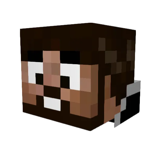 Terican Minecraft avatar head, 3D render