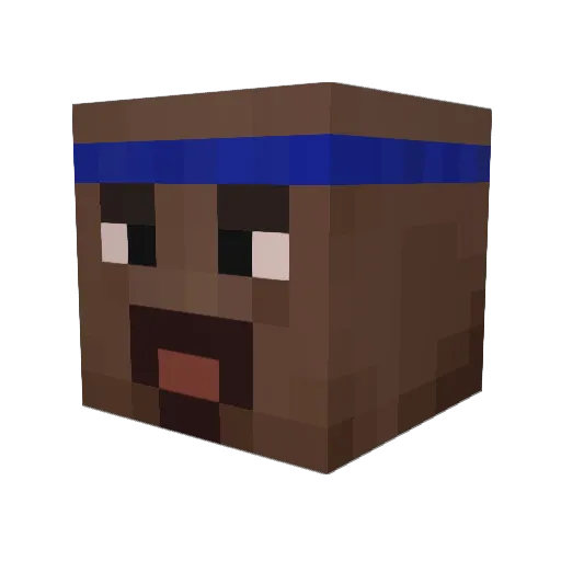 Terix_N10 Minecraft avatar head, 3D render