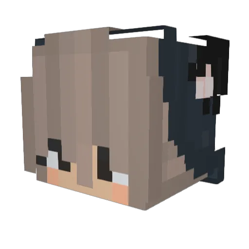 TerkEdilir Minecraft avatar head, 3D render