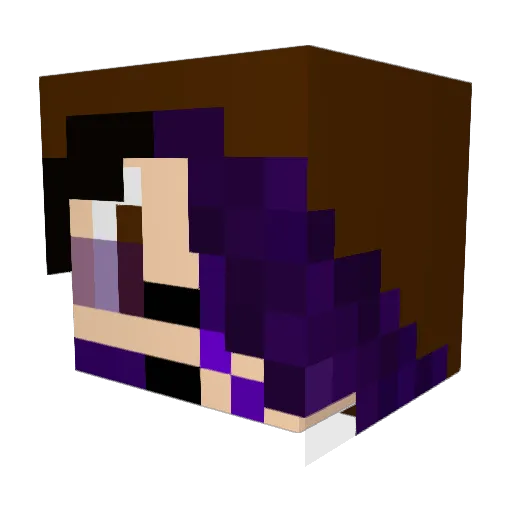 Termander Minecraft avatar head, 3D render
