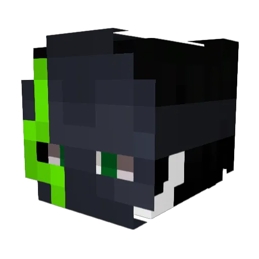Termi568 Minecraft avatar head, 3D render