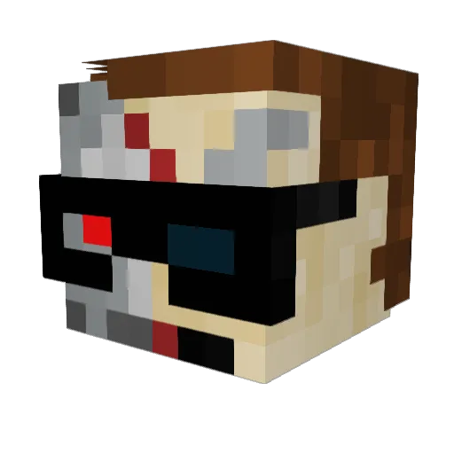 TermiNater11400 Minecraft avatar head, 3D render