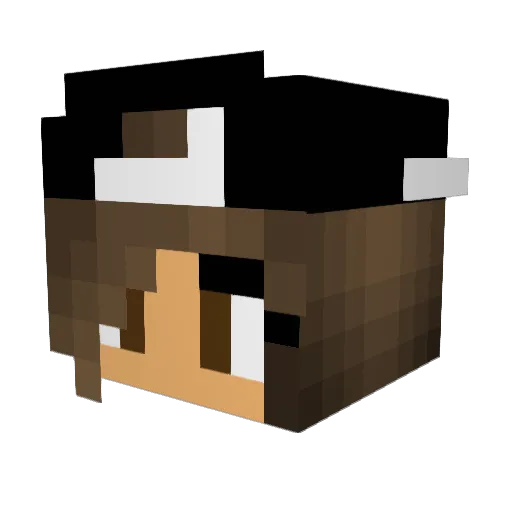 TermiTGaming Minecraft avatar head, 3D render
