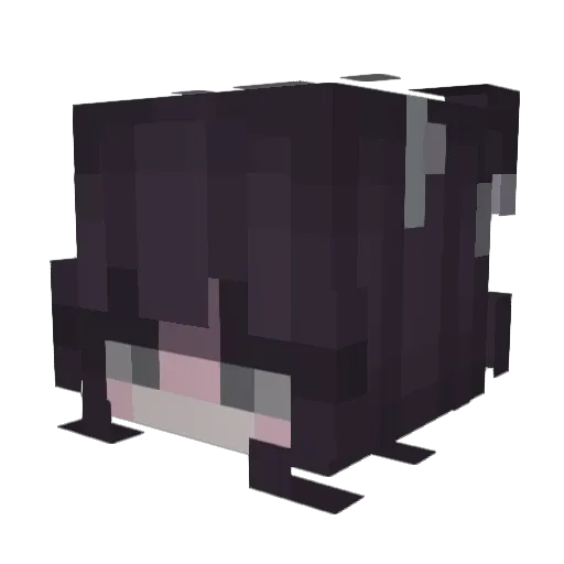 Termina Minecraft avatar head, 3D render