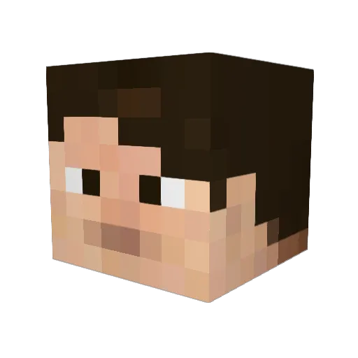 TerminalNerd Minecraft avatar head, 3D render
