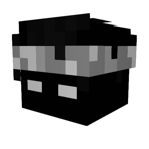TerminalPlayz Minecraft avatar head, 3D render