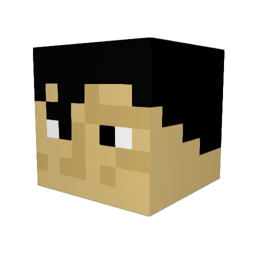 TerminatCraftHD Minecraft avatar head, 3D render