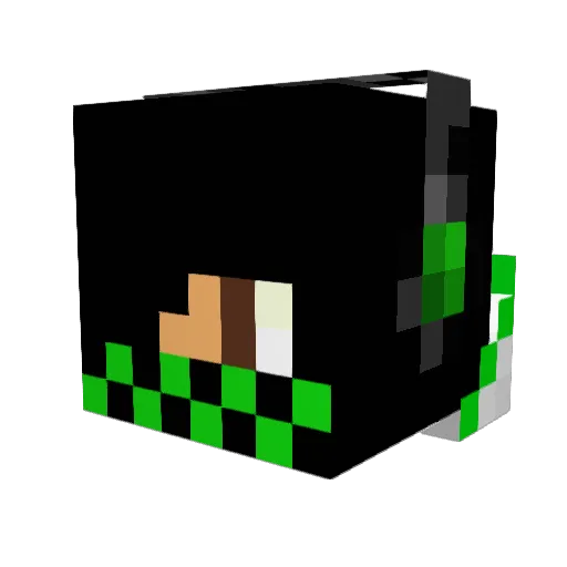 Terminater5002 Minecraft avatar head, 3D render
