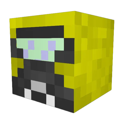 Terminator17785 Minecraft avatar head, 3D render