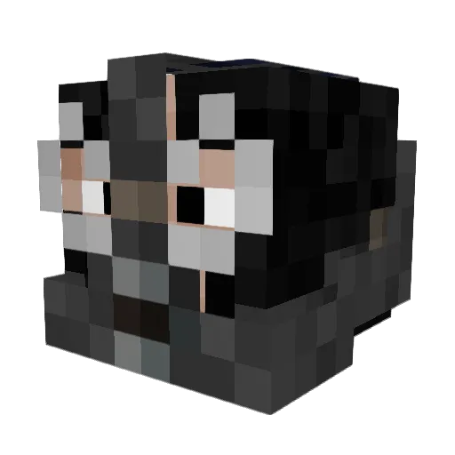 Terminator20050 Minecraft avatar head, 3D render