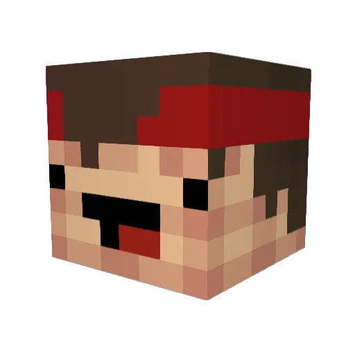 Terminator2508 Minecraft avatar head, 3D render