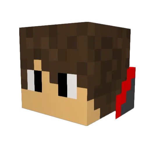 Terminator4271 Minecraft avatar head, 3D render