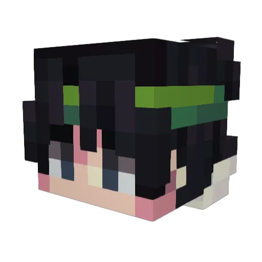 TerminatorUAU Minecraft avatar head, 3D render