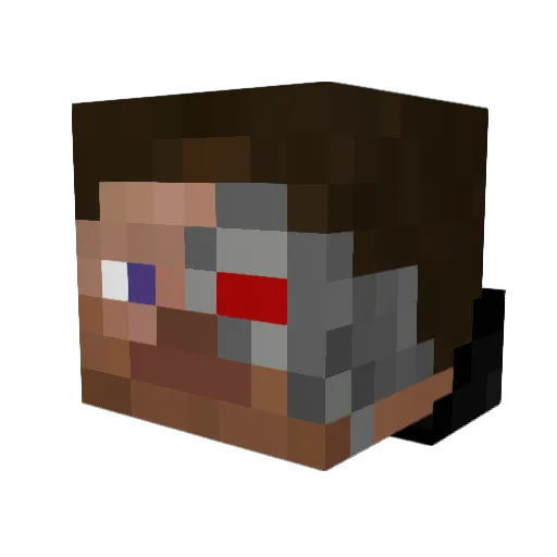 Terminator_1337 Minecraft avatar head, 3D render