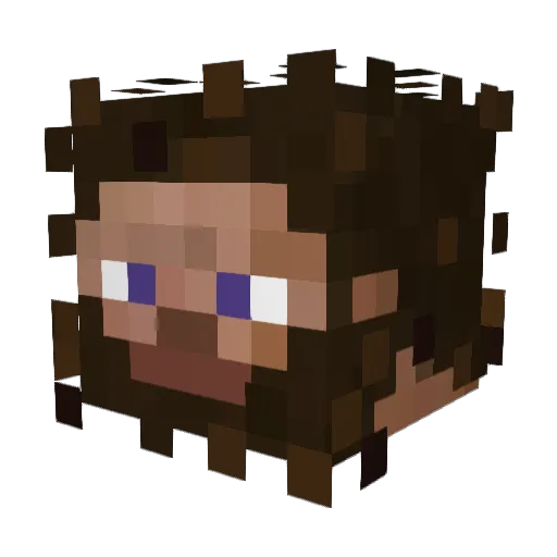 Terminator_789 Minecraft avatar head, 3D render
