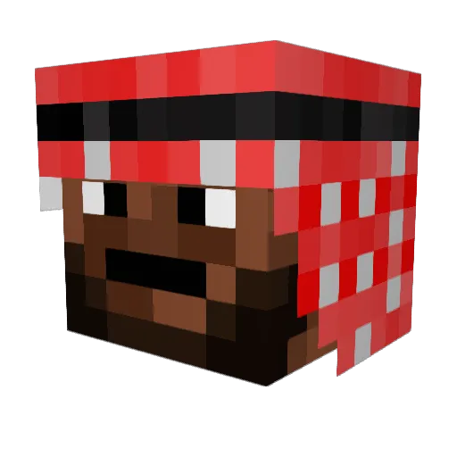 Termite341 Minecraft avatar head, 3D render
