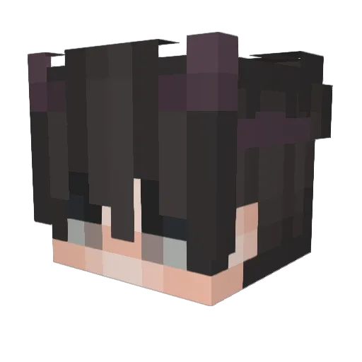 Termix11 Minecraft avatar head, 3D render